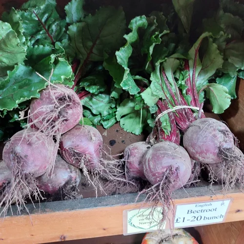 Radishes grouped together on a shelf at Roselea Farm Shop and Nursery