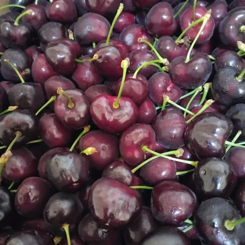 A closeup of cherries bunched together in a pile from Roselea Farm Shop and Nursery